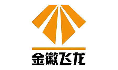 金徽飞龙
